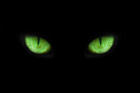 Avatar de usuário